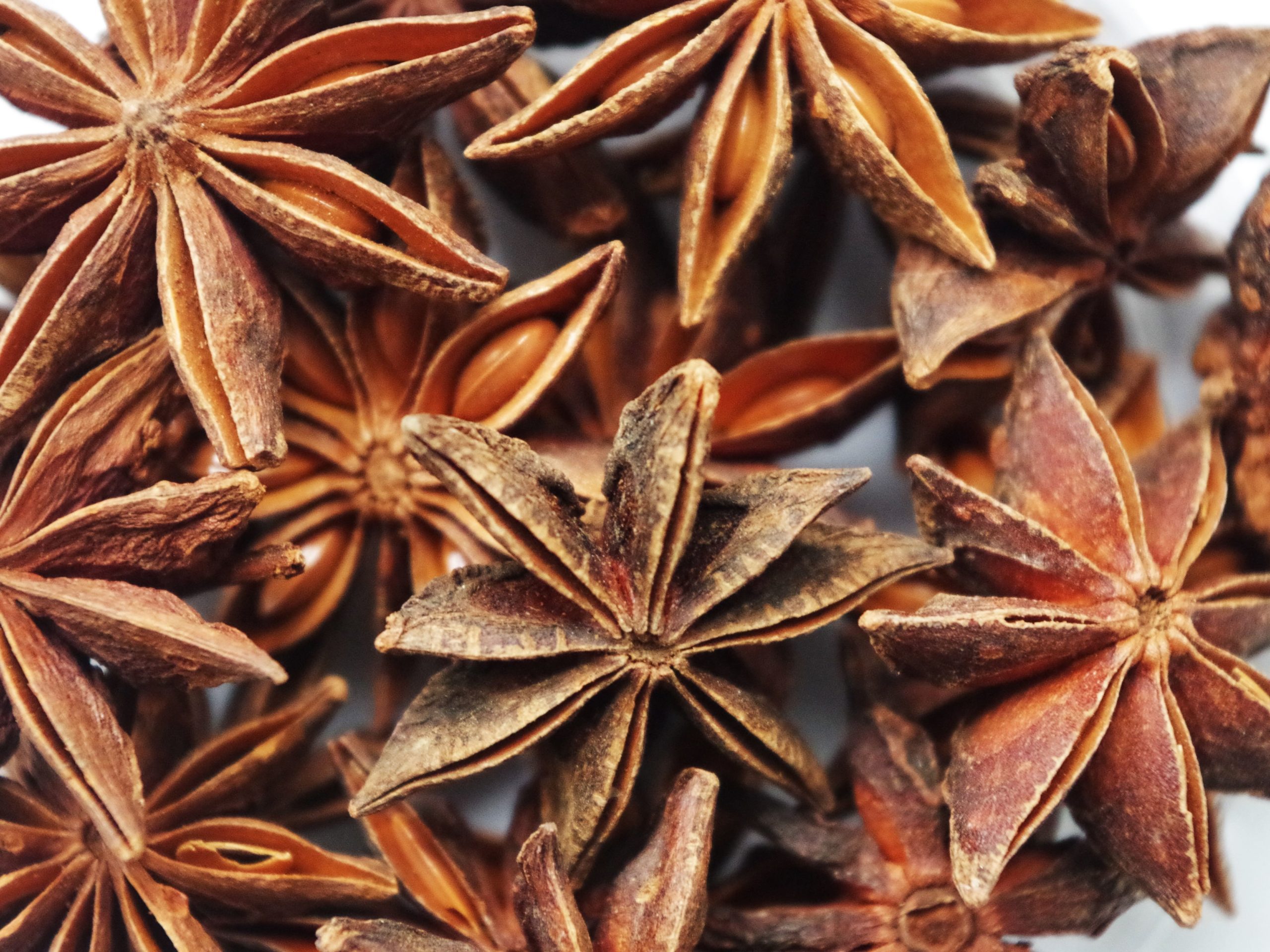 Plante médicinale et thérapeutique essentielle fleur de Badiane